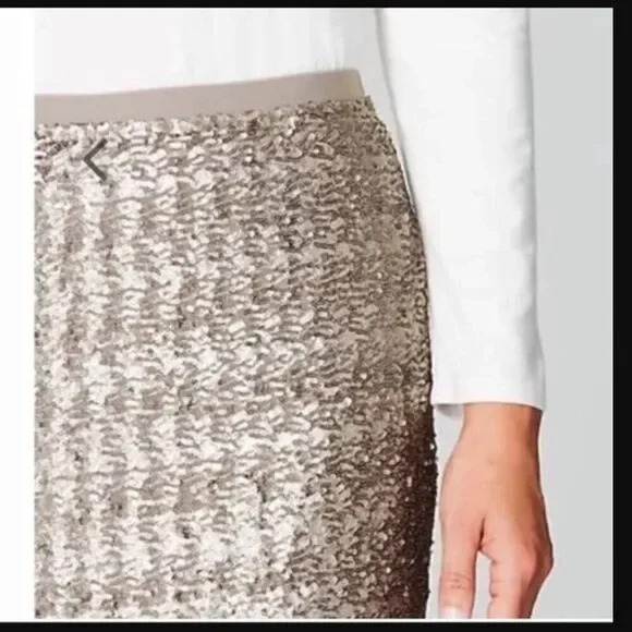 NWT J. Jill Sequins Pencil Sterling Women’s Skirt | Size XS - Picture 2 of 10